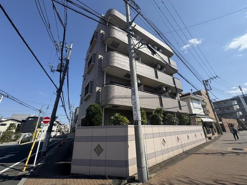コルヌイエ蓮根の外観
