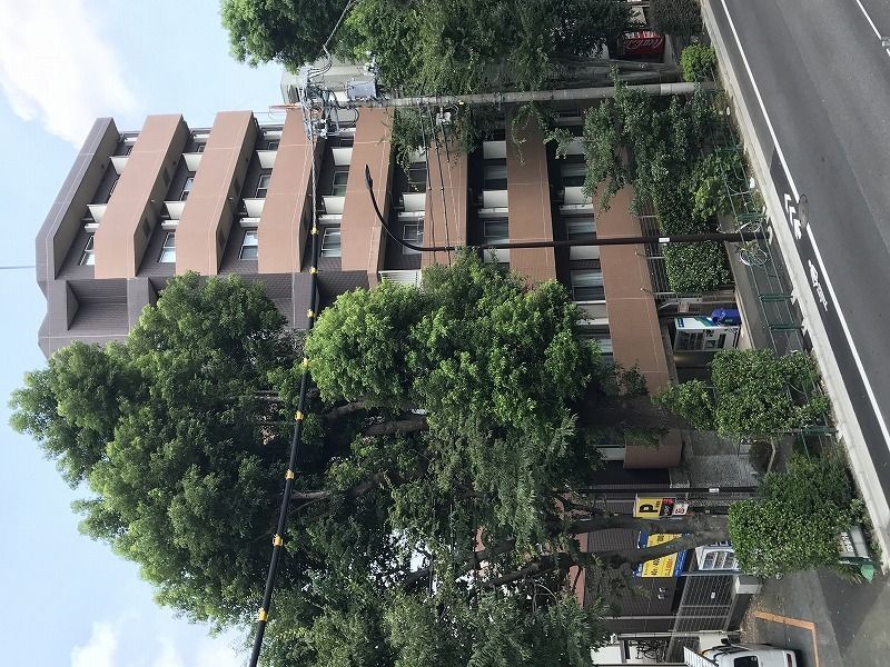 クレイシア世田谷野沢の外観